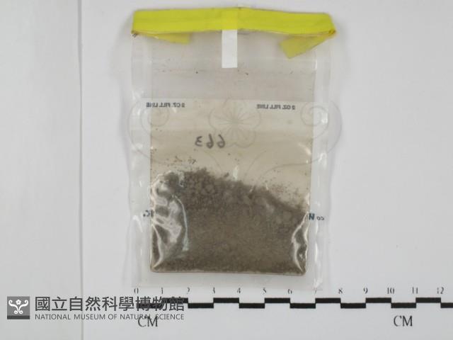 登錄號:F0009827藏品圖，第1張