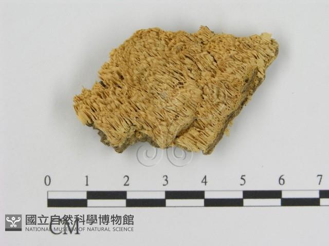 登錄號:F0006927藏品圖，第1張