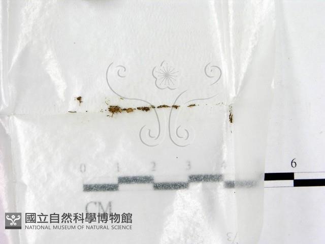 登錄號:F0002927藏品圖，第1張