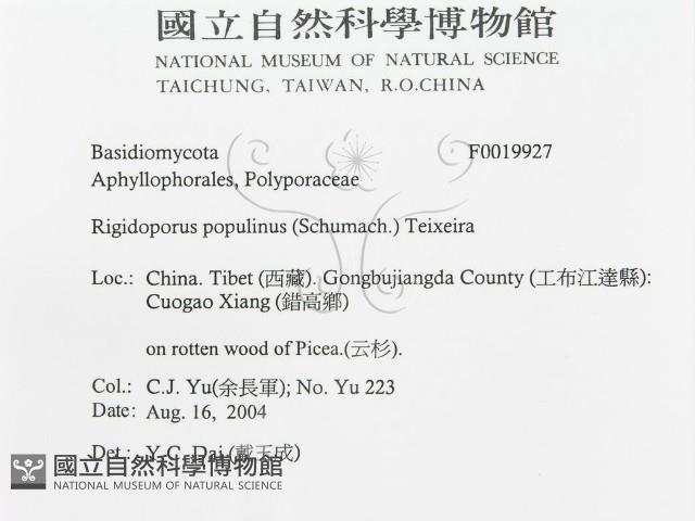 登錄號:F0019927藏品圖，第3張