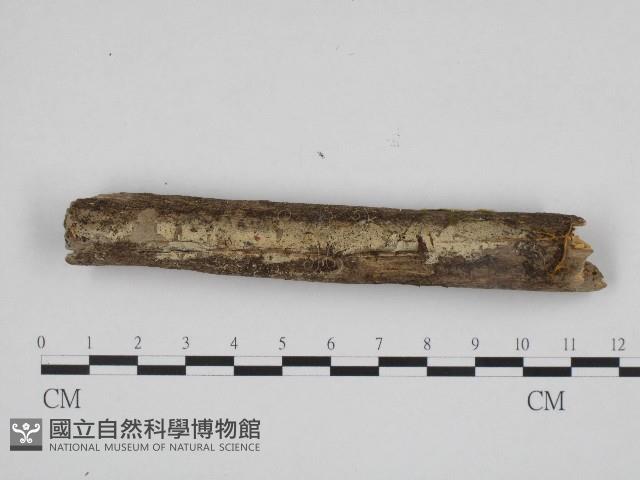 登錄號:F0003927藏品圖，第1張