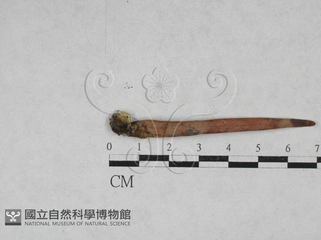 登錄號:F0028627藏品圖，第1張