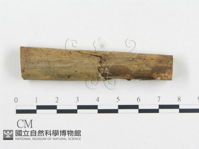 登錄號:F0008627藏品圖，第1張