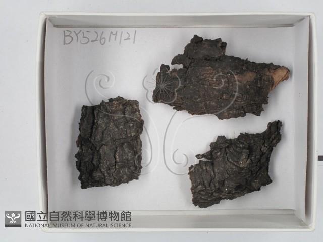 登錄號:F0018627藏品圖，第1張