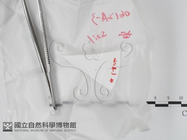 登錄號:F0020627藏品圖，第1張