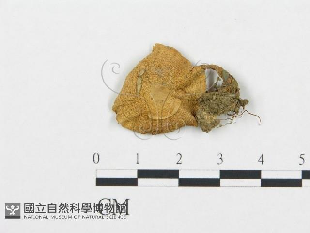 登錄號:F0000627藏品圖，第1張