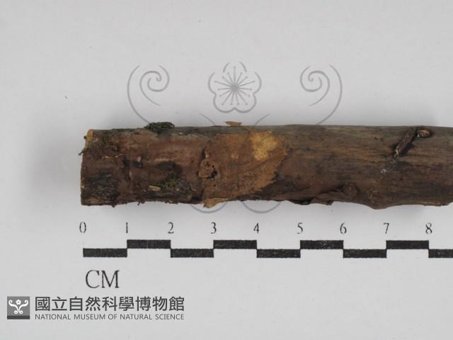 登錄號:F0030627藏品圖，第1張