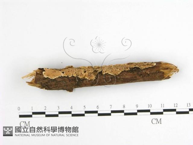 登錄號:F0001627藏品圖，第1張