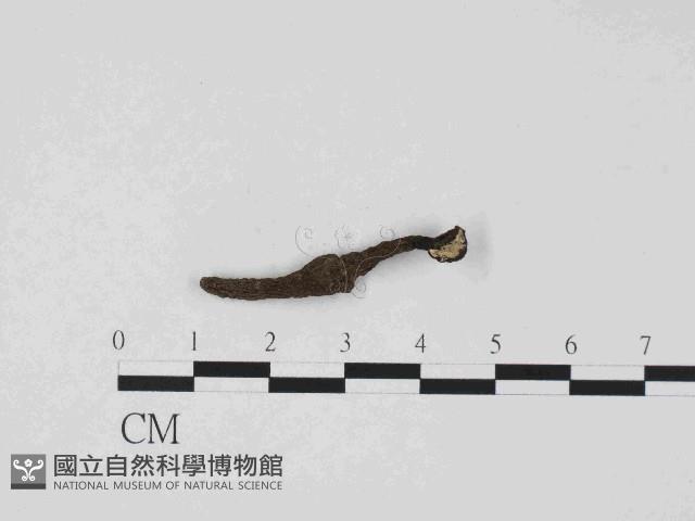 登錄號:F0014627藏品圖，第1張