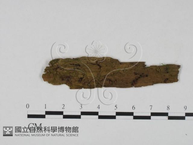 登錄號:F0022627藏品圖，第1張
