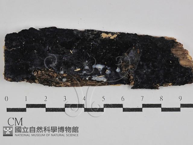 登錄號:F0029627藏品圖，第1張