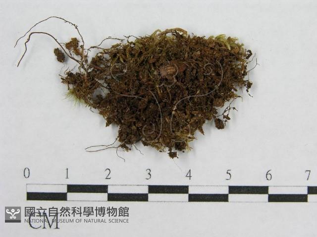 登錄號:F0014427藏品圖，第1張