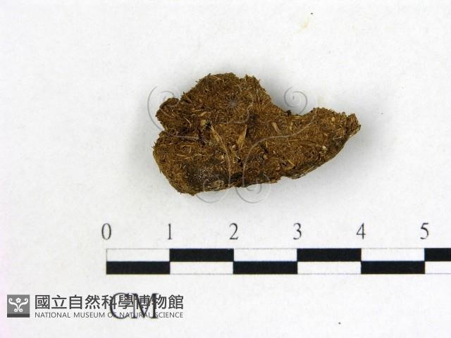 登錄號:F0000727藏品圖，第1張