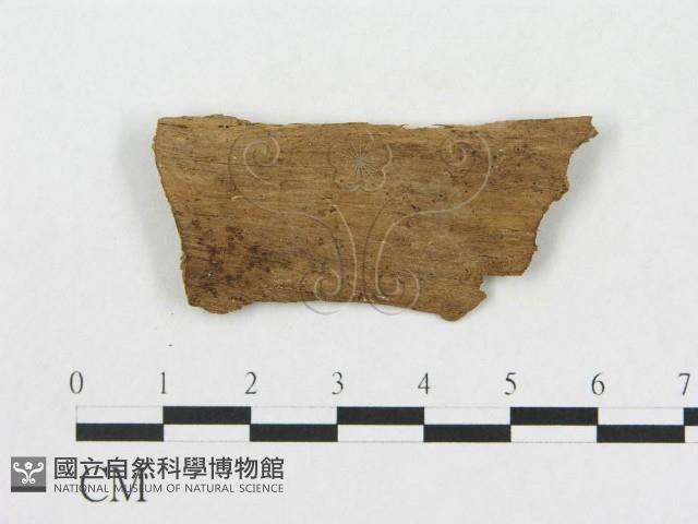 登錄號:F0016727藏品圖，第1張