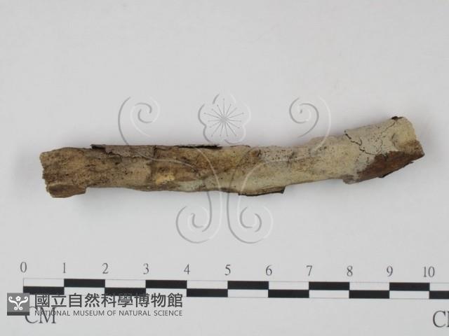 登錄號:F0021727藏品圖，第1張