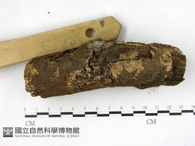 登錄號:F0004727藏品圖，第1張