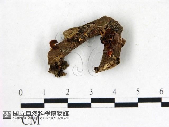 登錄號:F0022727藏品圖，第1張
