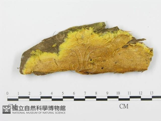 登錄號:F0017727藏品圖，第1張
