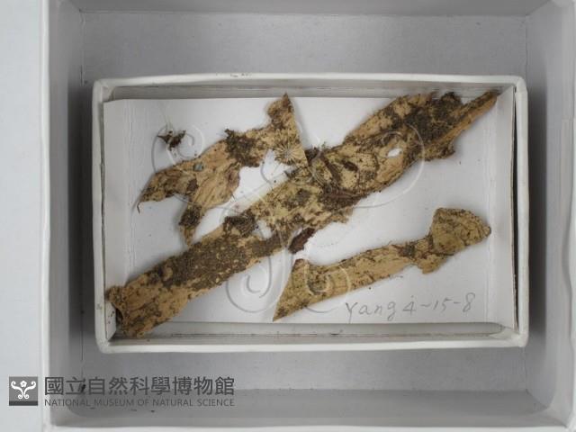 登錄號:F0018527藏品圖，第1張