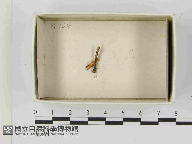 登錄號:F0021527藏品圖，第1張
