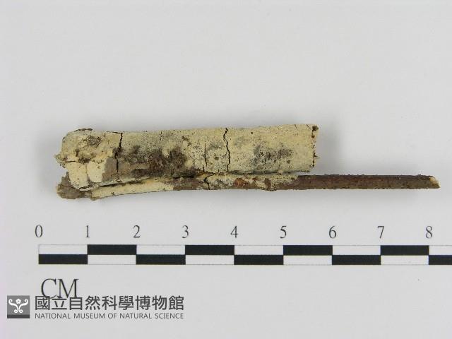 登錄號:F0004527藏品圖，第1張