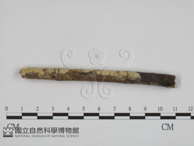 登錄號:F0002527藏品圖，第1張