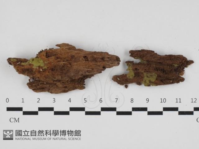 登錄號:F0032527藏品圖，第1張