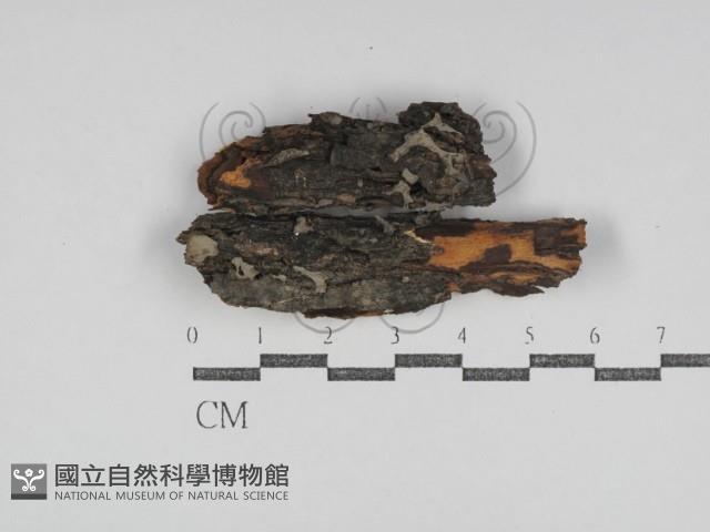 登錄號:F0031127藏品圖，第1張