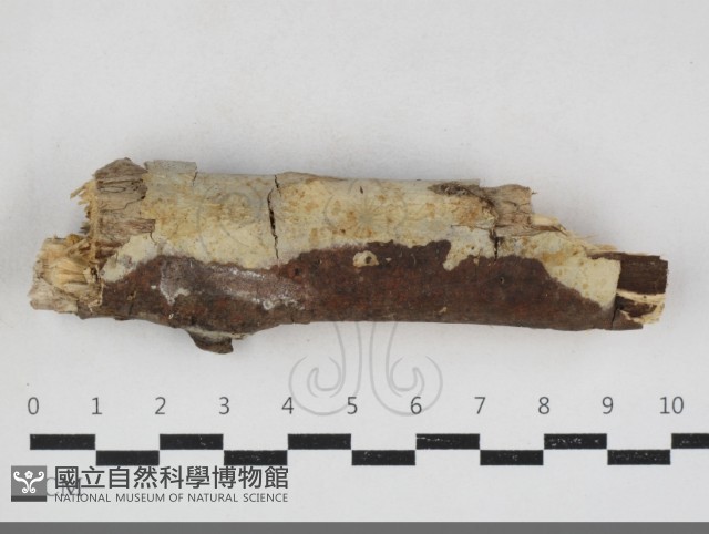 登錄號:F0034127藏品圖，第1張