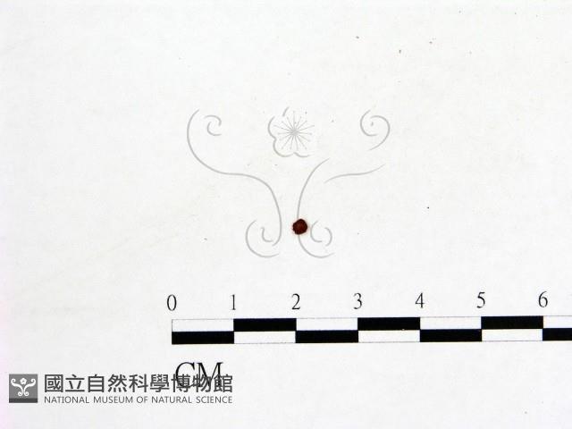 登錄號:F0002127藏品圖，第1張