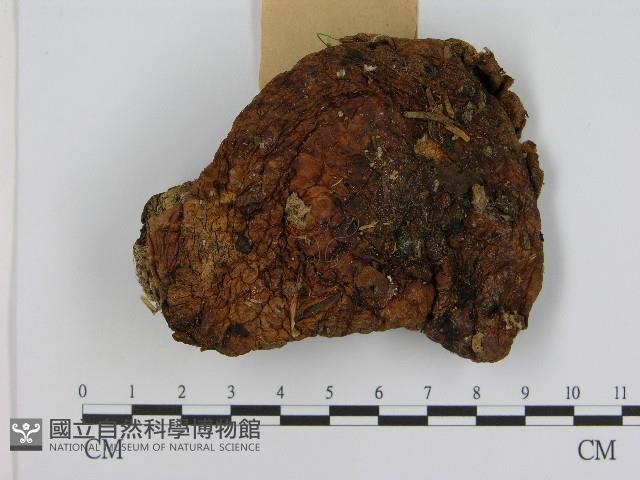 登錄號:F0017127藏品圖，第1張