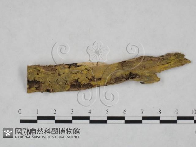 登錄號:F0025127藏品圖，第1張
