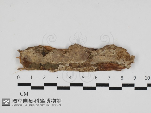 登錄號:F0033127藏品圖，第1張
