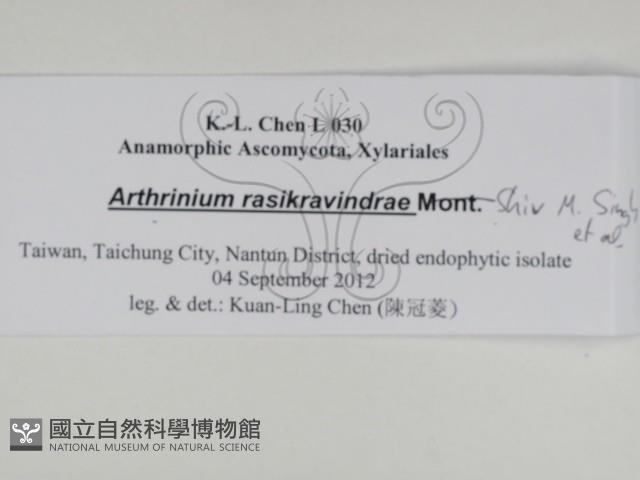 登錄號:F0031027藏品圖，第3張