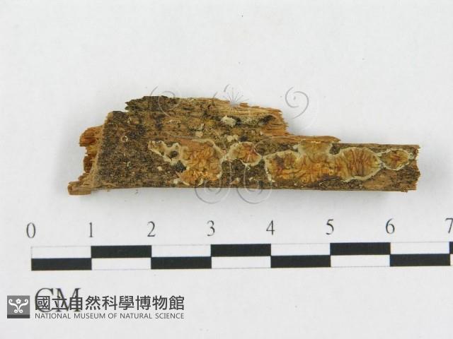 登錄號:F0014027藏品圖，第1張