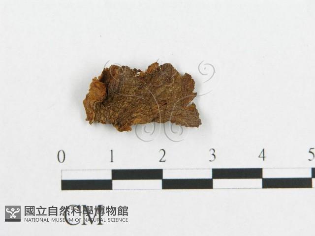 登錄號:F0014327藏品圖，第1張