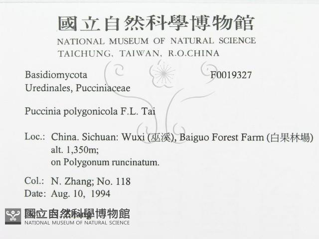 館號:F0019327藏品圖，第3張