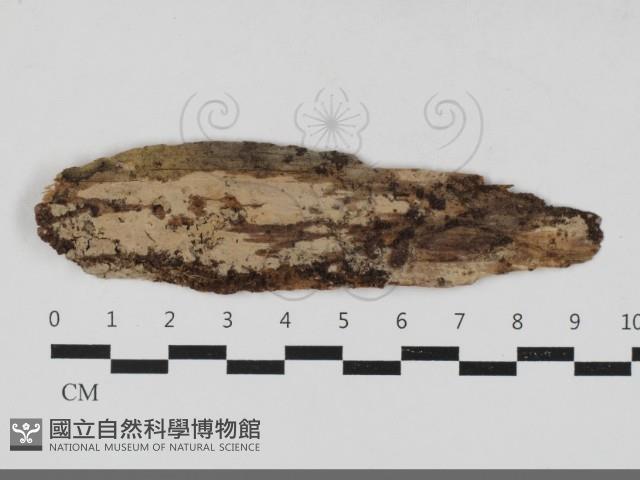 登錄號:F0033327藏品圖，第1張