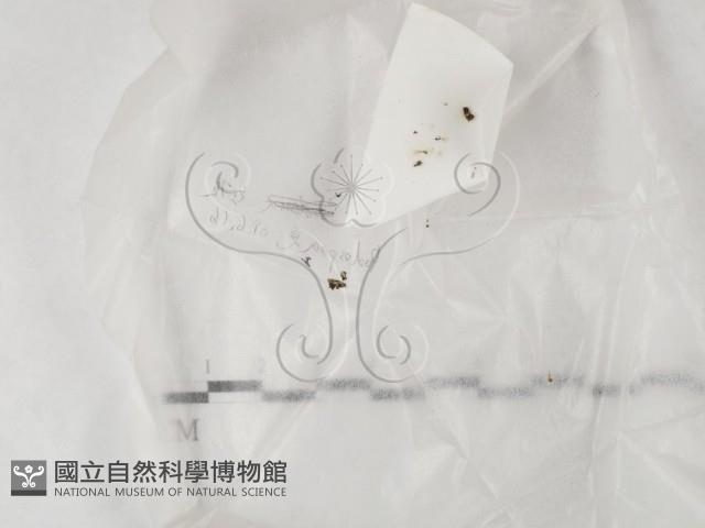 登錄號:F0023207藏品圖，第1張