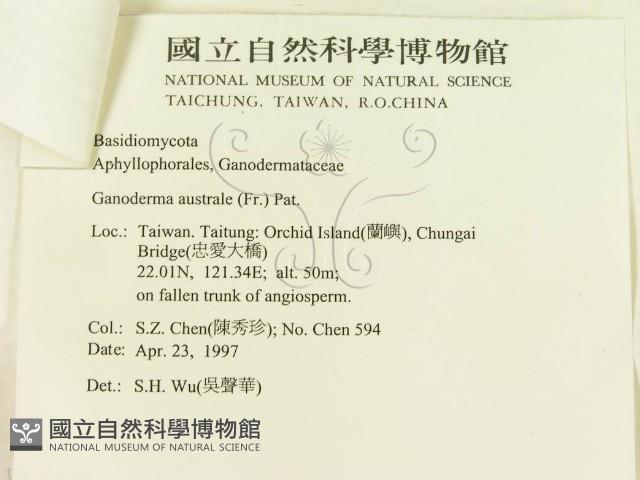 登錄號:F0008807藏品圖，第3張