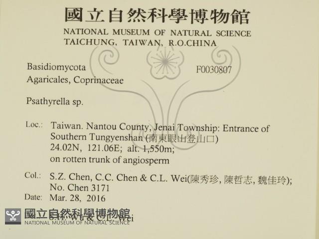 登錄號:F0030807藏品圖，第3張