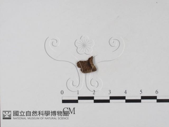 登錄號:F0013807藏品圖，第1張