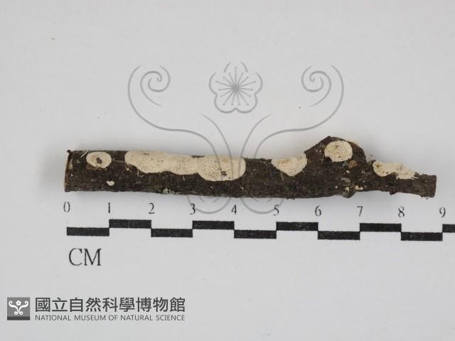 登錄號:F0030907藏品圖，第3張