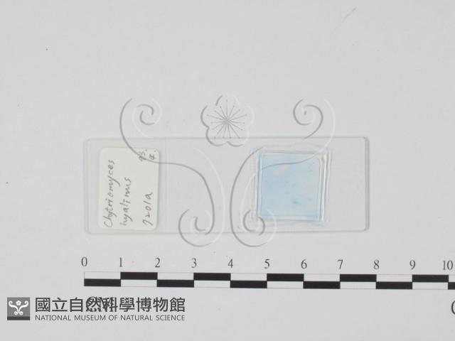 登錄號:F0017907藏品圖，第1張