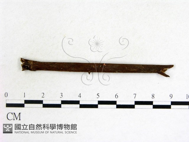 登錄號:F0013907藏品圖，第1張