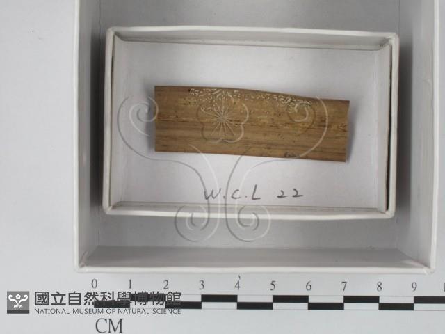 登錄號:F0018607藏品圖，第1張