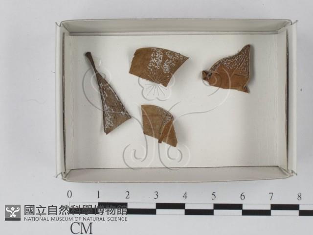登錄號:F0020607藏品圖，第1張