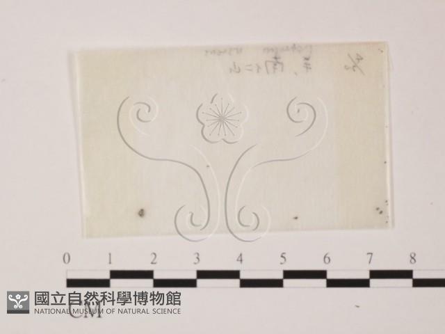 登錄號:F0000607藏品圖，第1張