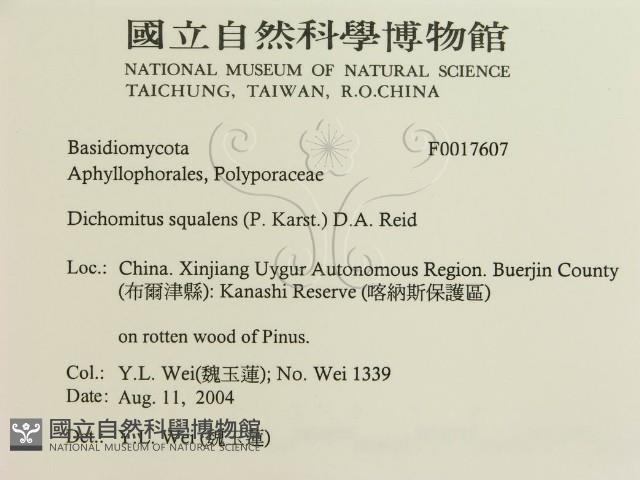 登錄號:F0017607藏品圖，第3張