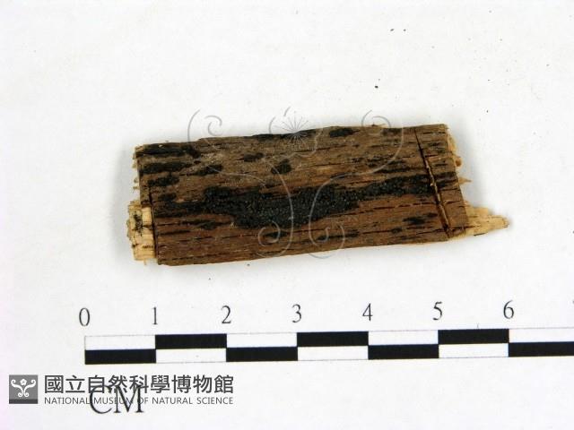 登錄號:F0019607藏品圖，第1張